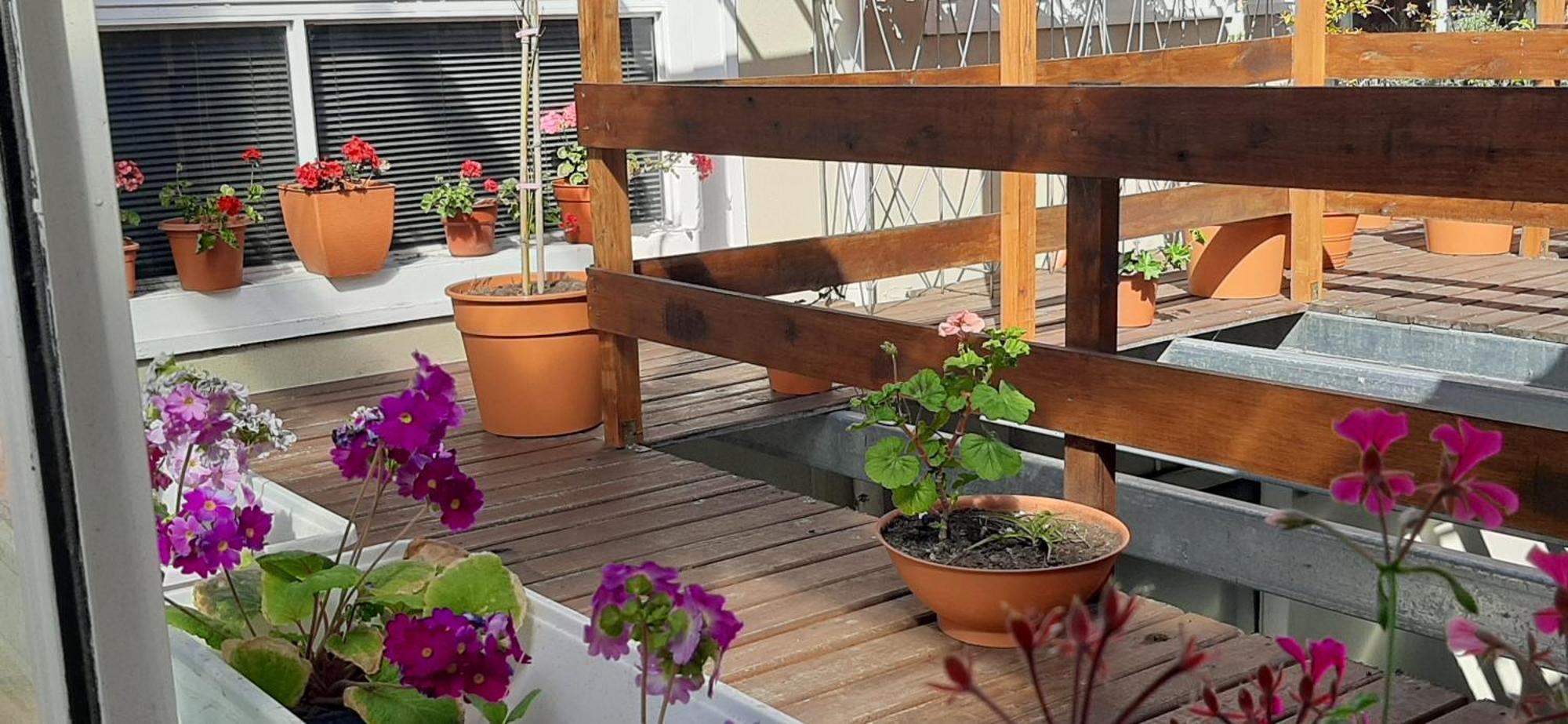San Francisco Apartment มาร์เดลปลาตา ภายนอก รูปภาพ